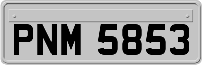 PNM5853