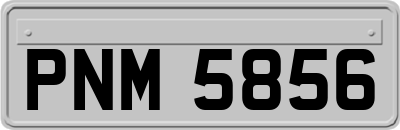 PNM5856