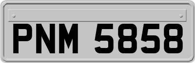 PNM5858