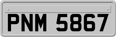 PNM5867