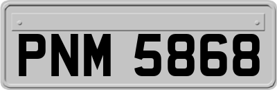 PNM5868