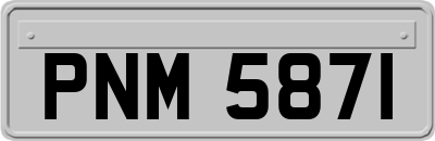PNM5871