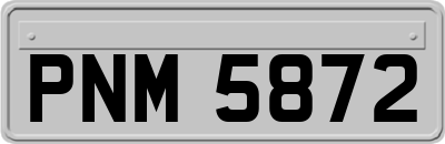 PNM5872