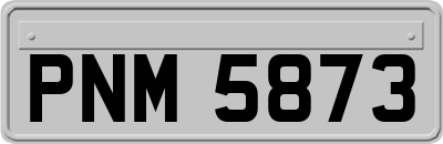 PNM5873