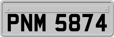 PNM5874