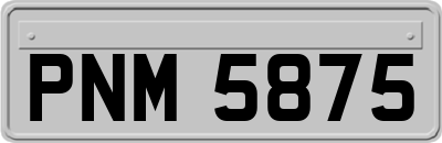 PNM5875