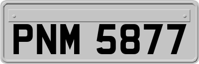 PNM5877
