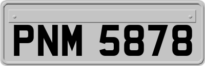 PNM5878