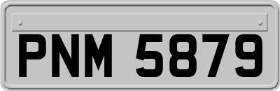 PNM5879