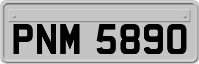 PNM5890
