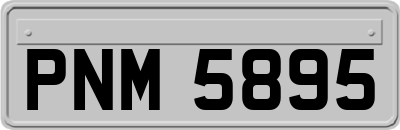 PNM5895