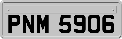 PNM5906