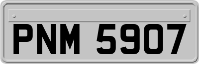 PNM5907