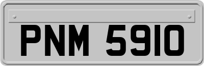 PNM5910