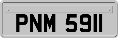 PNM5911
