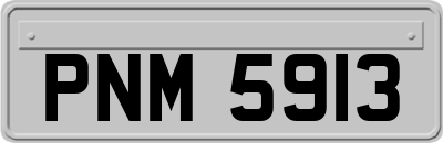 PNM5913