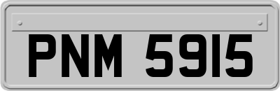 PNM5915
