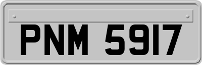 PNM5917