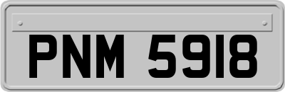 PNM5918