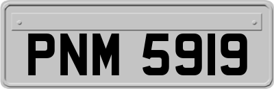 PNM5919