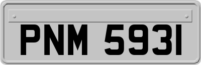 PNM5931