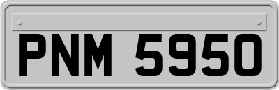 PNM5950