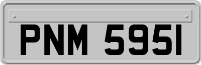 PNM5951