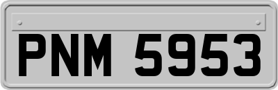 PNM5953