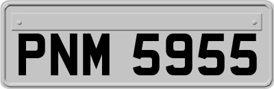 PNM5955