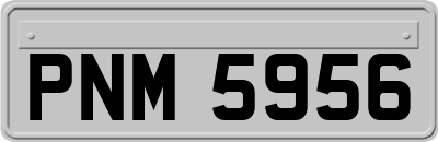PNM5956
