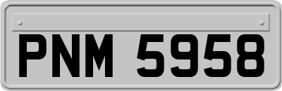 PNM5958