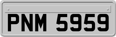PNM5959