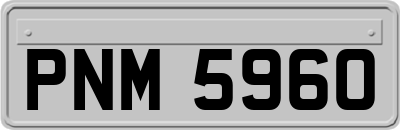 PNM5960