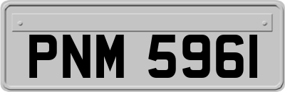 PNM5961