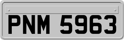 PNM5963