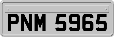 PNM5965