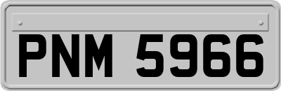 PNM5966
