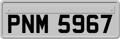 PNM5967