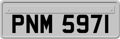 PNM5971