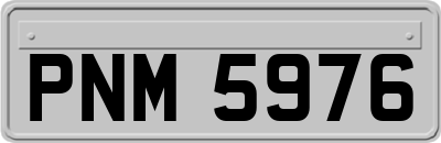 PNM5976