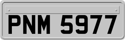PNM5977