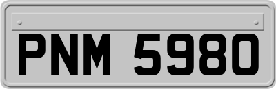 PNM5980