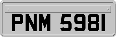 PNM5981