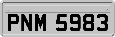 PNM5983