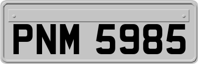 PNM5985