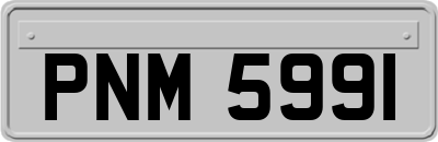 PNM5991