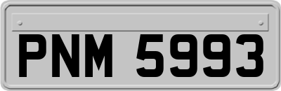 PNM5993