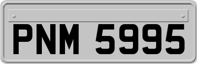 PNM5995