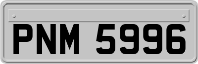 PNM5996