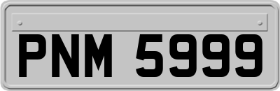 PNM5999